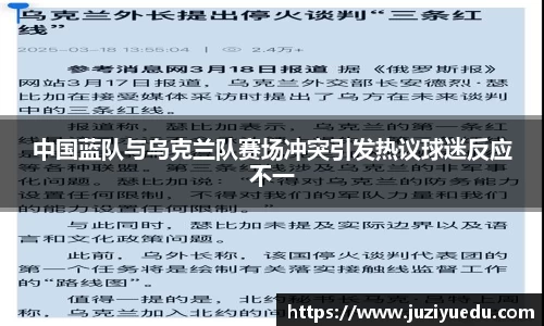 中国蓝队与乌克兰队赛场冲突引发热议球迷反应不一